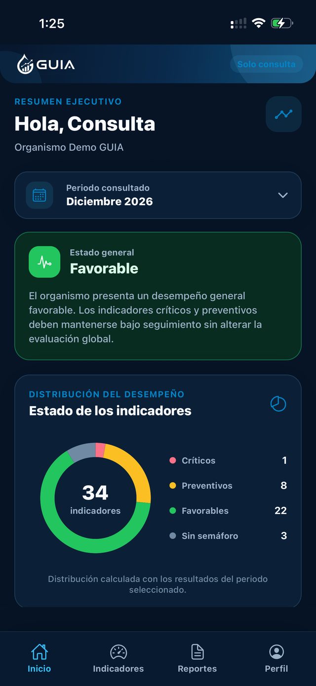 Resumen ejecutivo en GUIA Consulta